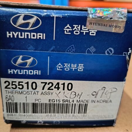 thermostat assy
